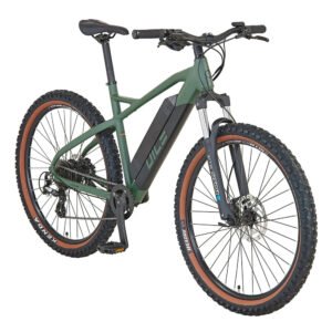 Prophete E-Bike MTB Dice 1.0 Bronze Grün Matt 27,5"